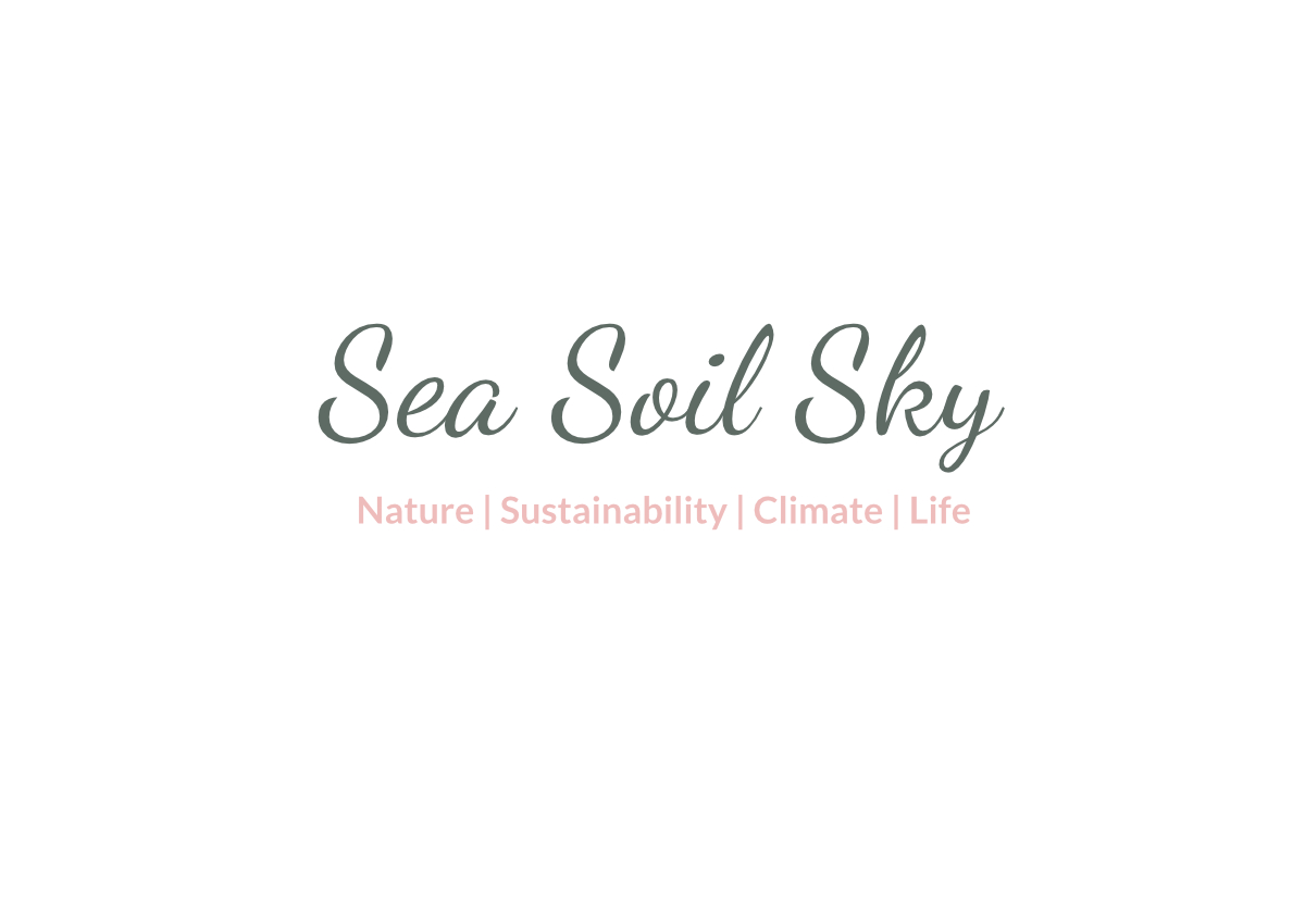 Sea Soil Sky